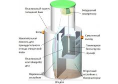 Биозон 2
